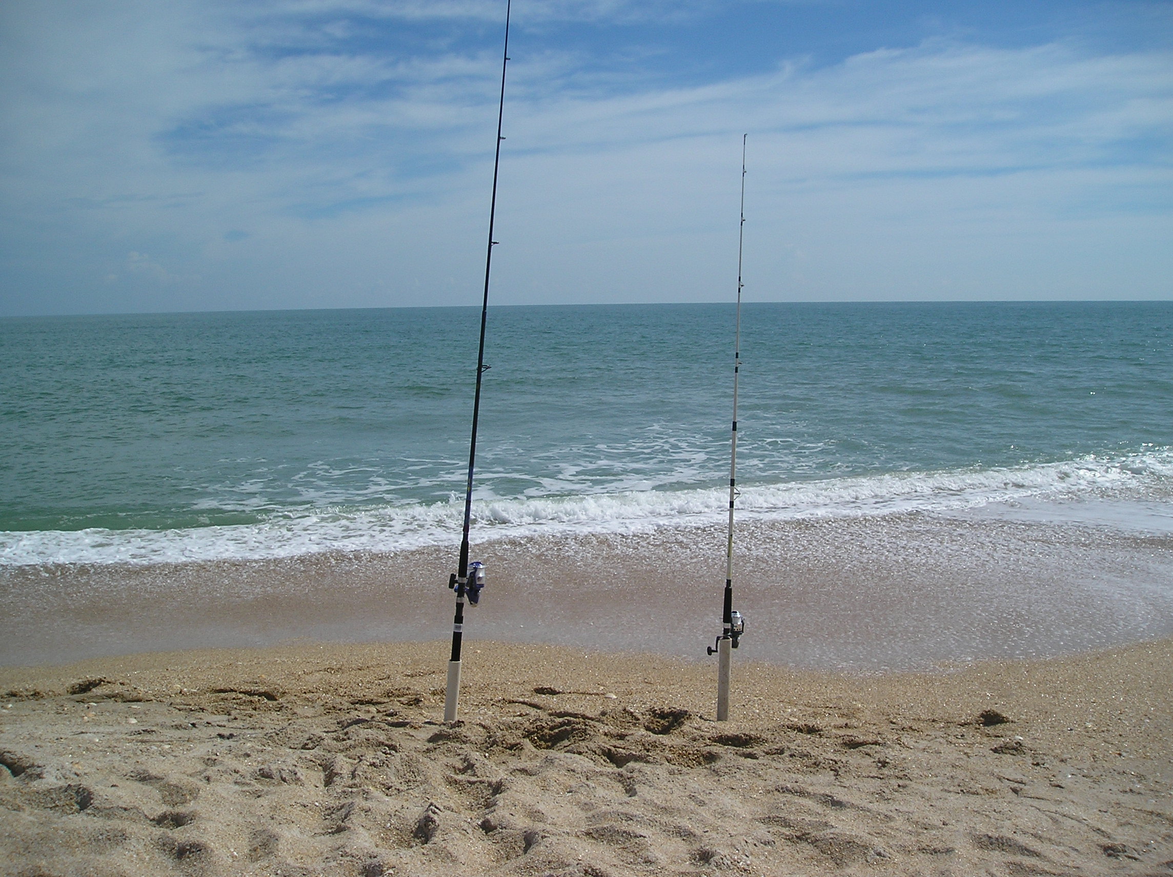 [Fishing lines] Photo by turtlemom4bacon.