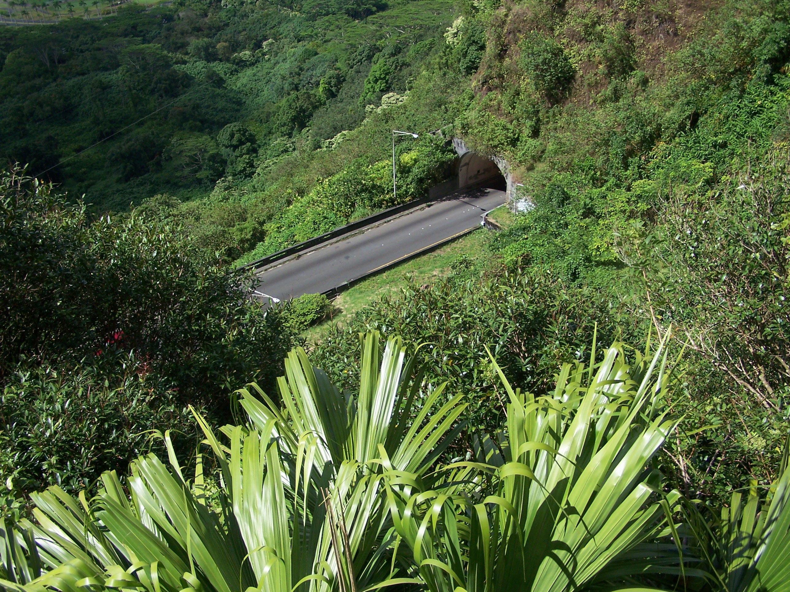 [Pali Highway] Photo by Joel.