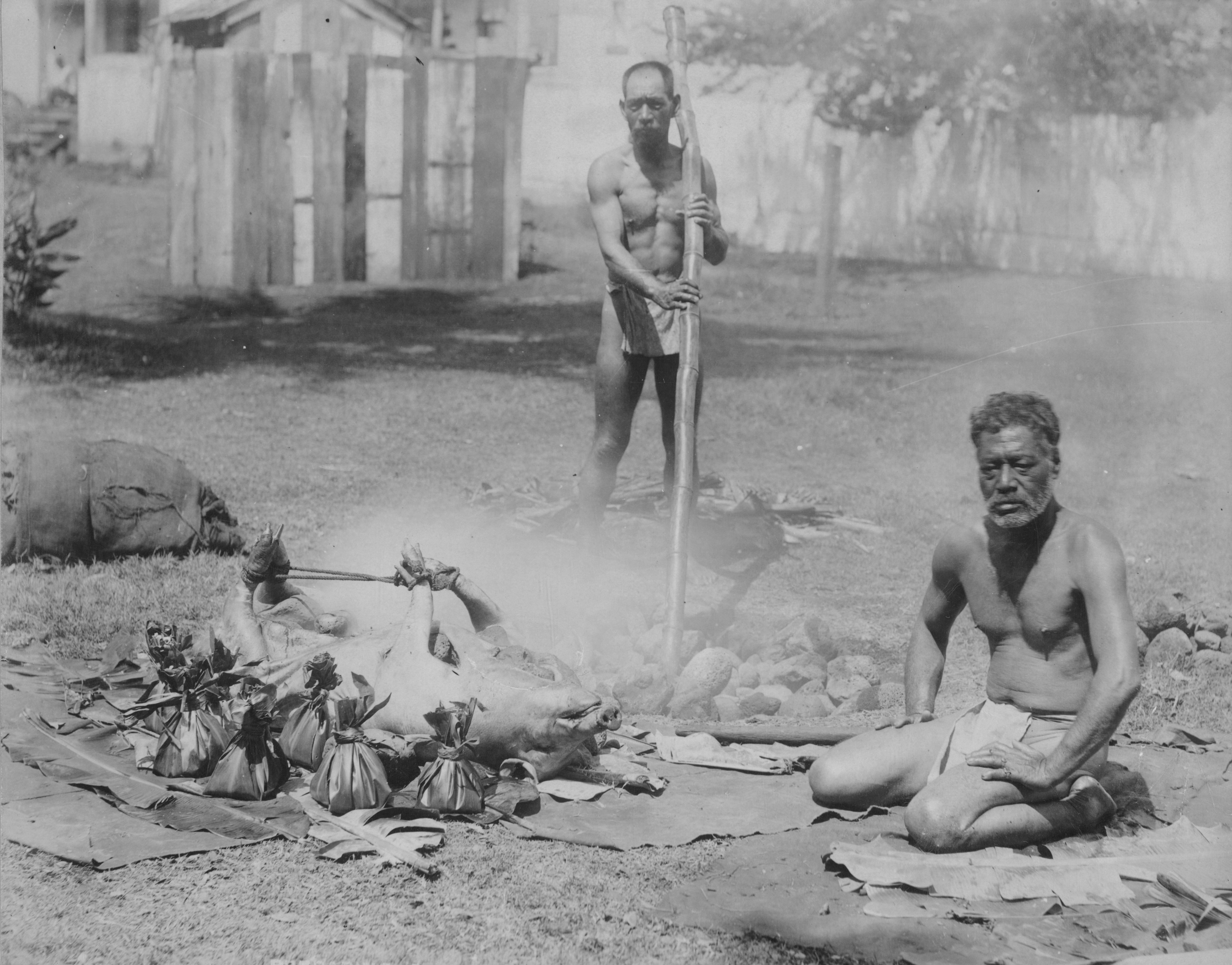 [Preparing pig for imu] Two men preparing pig for imu; Hawaiʻi. Photographer unknown.