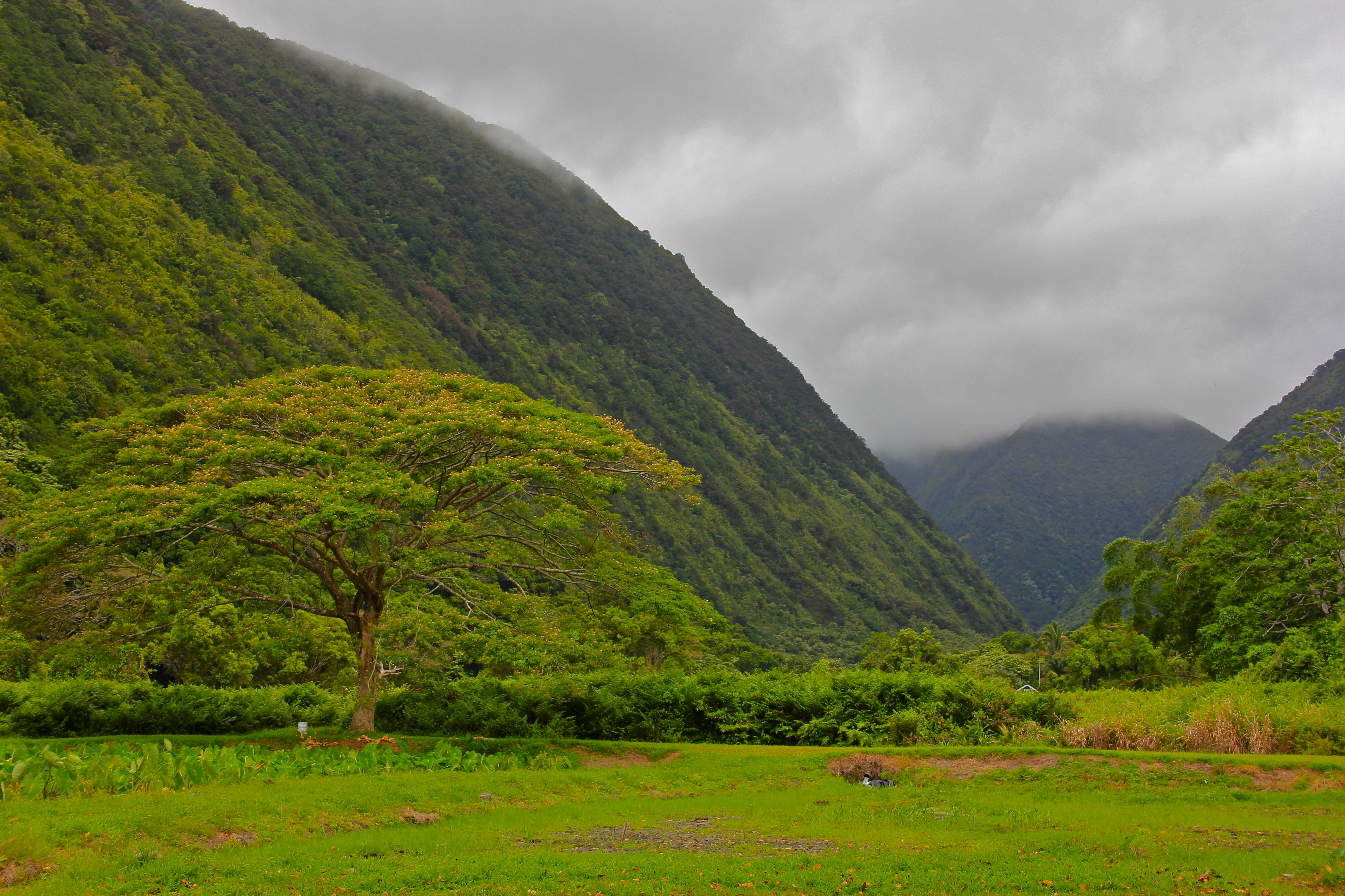 [Waipio Valley] Photo by Navin75.