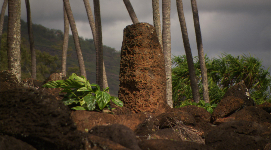 [Heiau near coconut grove] Photo by Ruben Carillo.