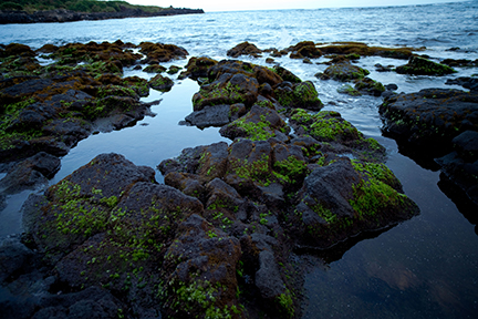 [Tide pools] Photo by Ruben Carillo.