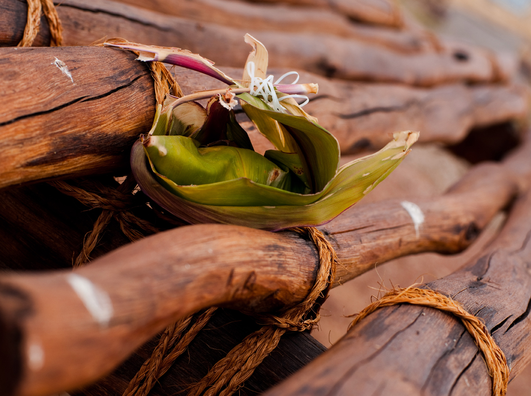 [Hoʻokupu on wooden altar] Photo by Ruben Carillo.