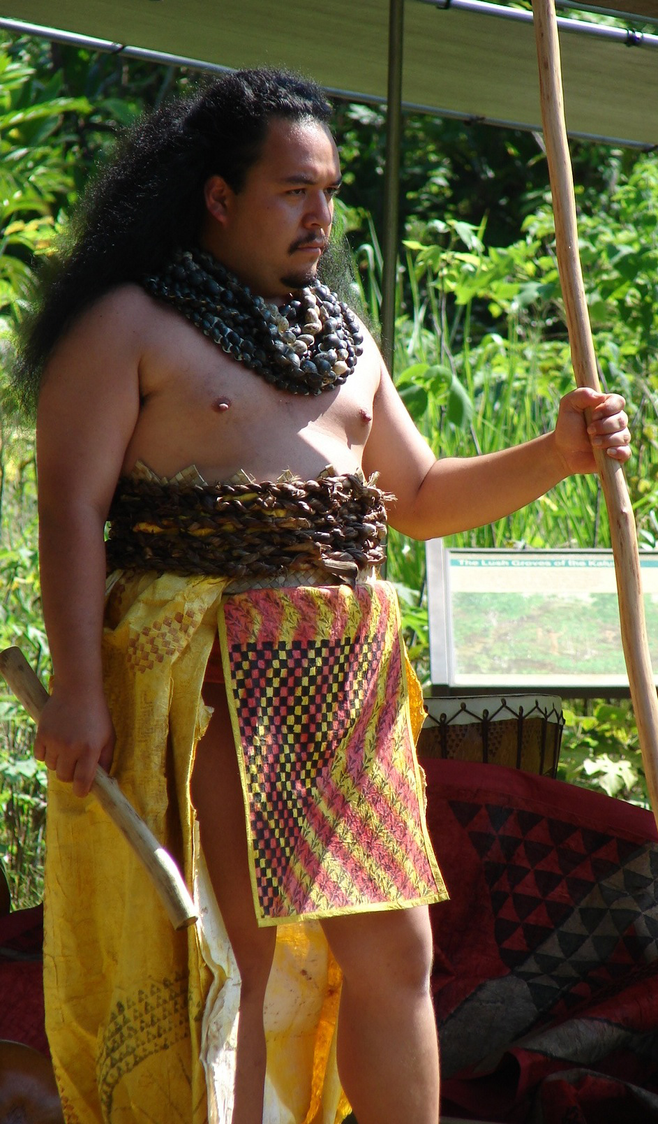 [Full kapa] Kumu Micah Kamohoaliʻi in full kapa. Photo by Micah Kamohoaliʻi.