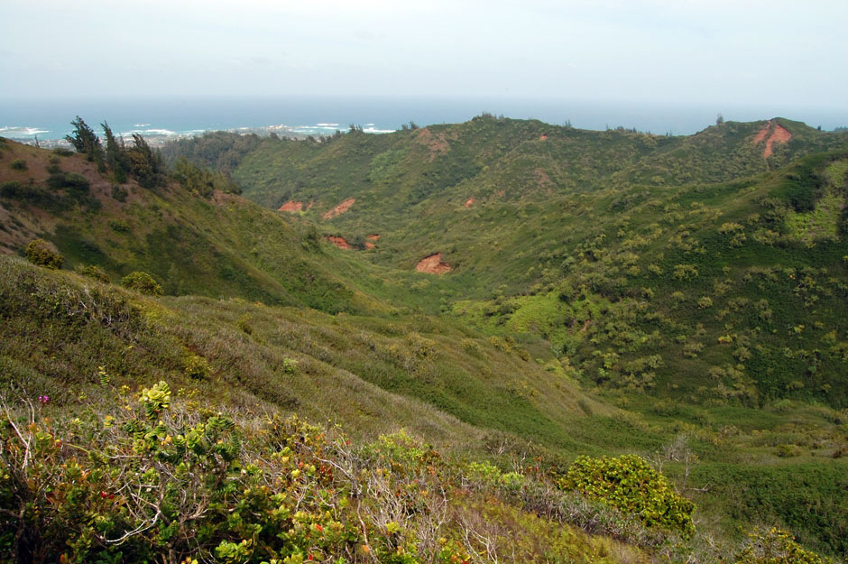 [Looking toward Lāʻie Point] Photo by Kaleo Lancaster.