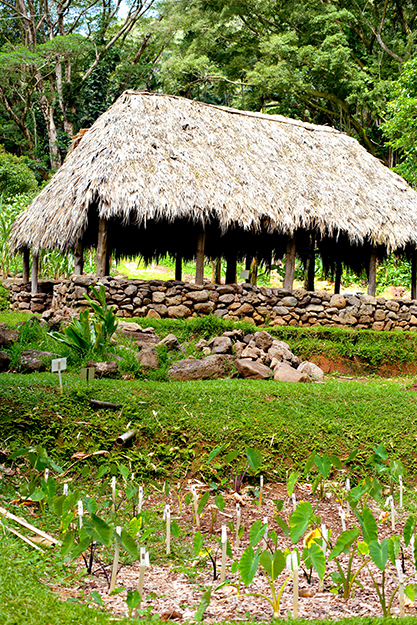 [Traditional Hawaiian structure with pōhaku foundation] Photo by Ruben Carillo.